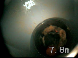 Objet coincé dans la canalisation